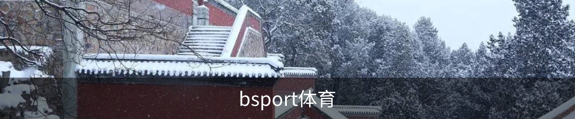 bsport体育
